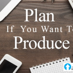 Plan If You Want To Produce
