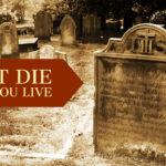 Don’t Die While You Live