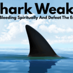 Shark Weak: How To Stop Bleeding Spiritually And Defeat The Enemy – Part 2