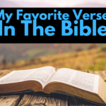 My Favorite Verse In The Bible